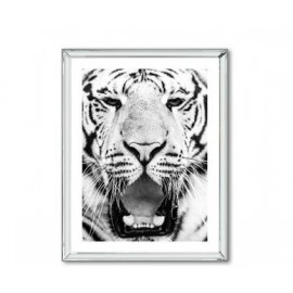Obraz Biały Tygrys 66x86
