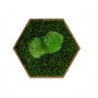 Dekoracja hexagon zielony mech 19 cm