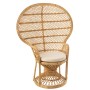 Fotel rattanowy Paw (Peacock) J-line